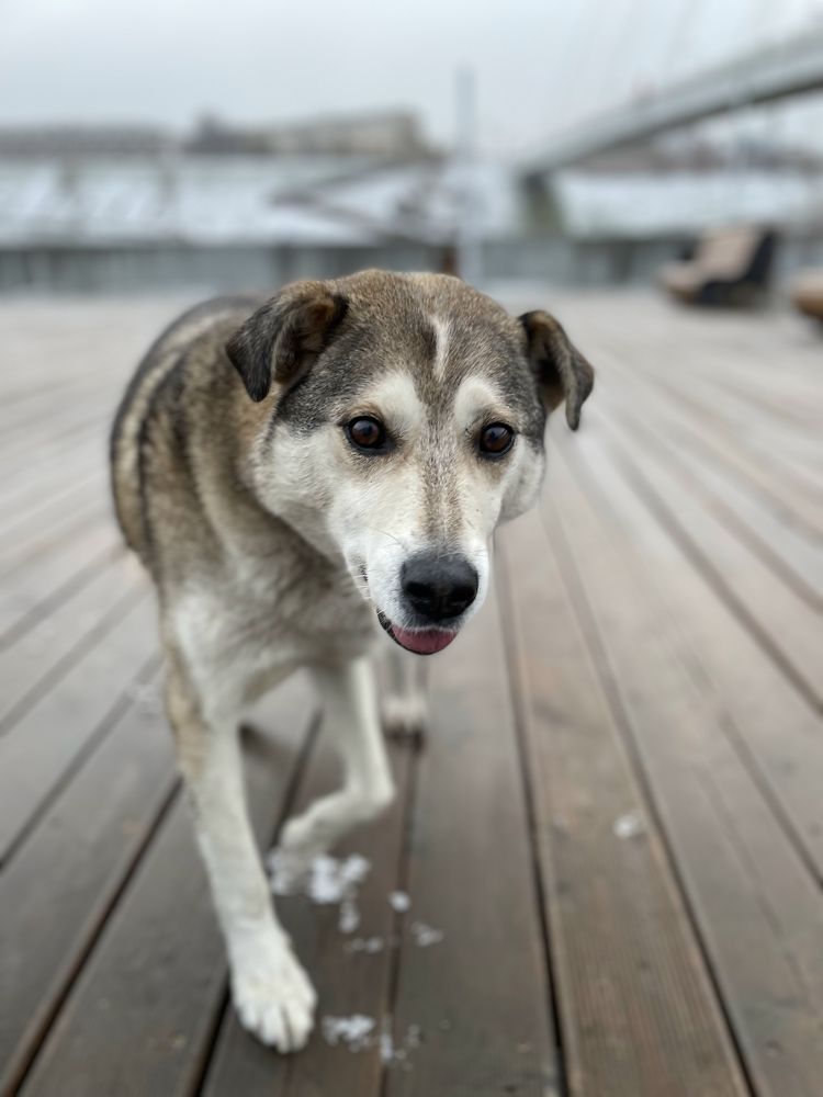 Photograph by Татьяна Юдина