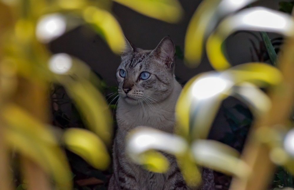 Photograph by Andre Nunes