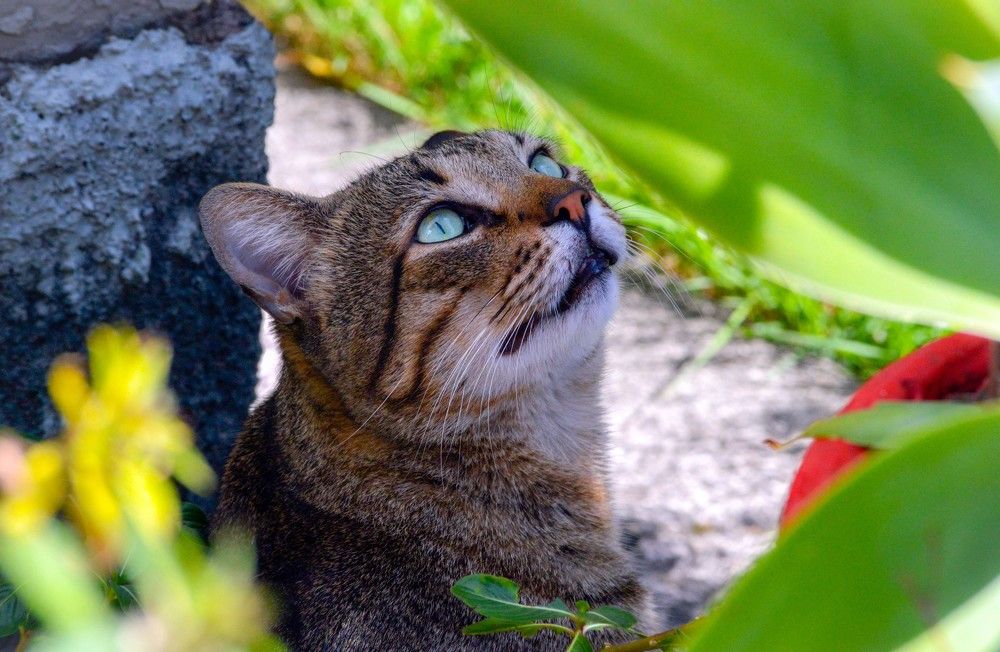 Photograph by Andre Nunes