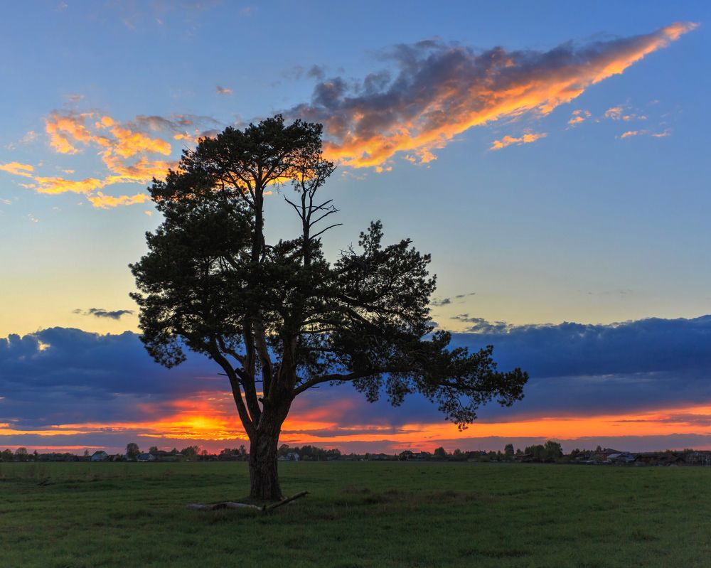 Photograph by Александр Литвинов