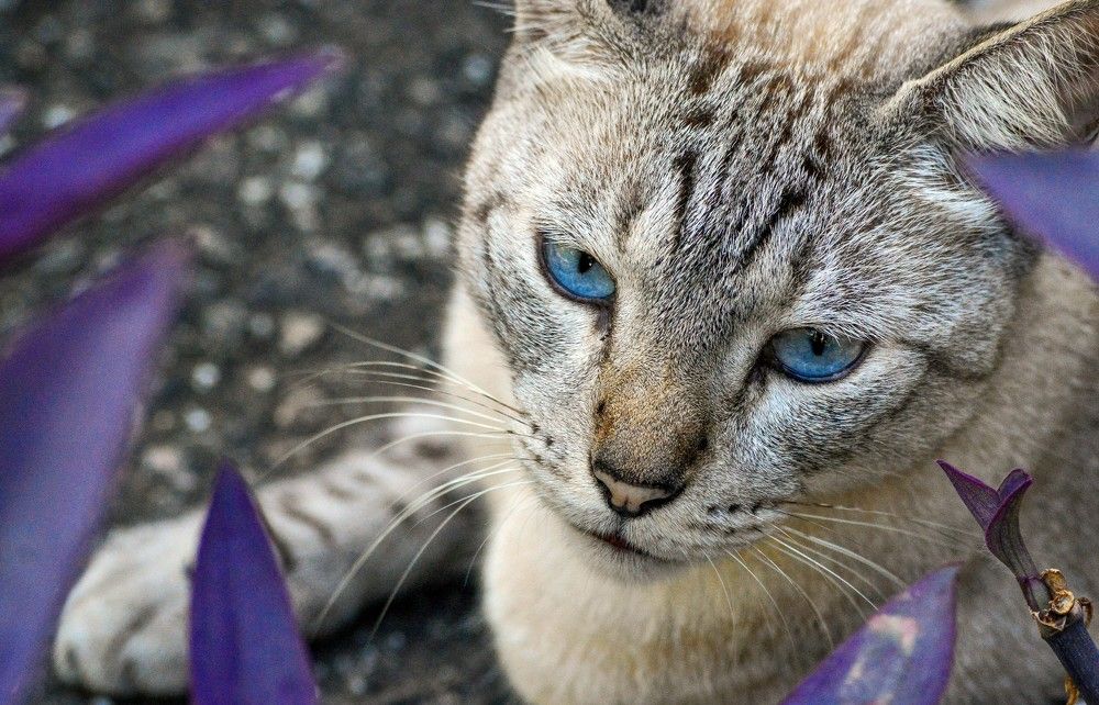 Photograph by Andre Nunes