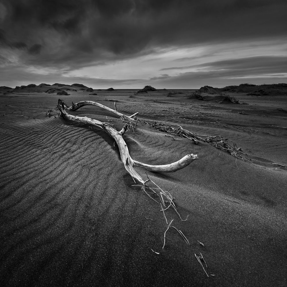 Photograph by Eduardo Modolo