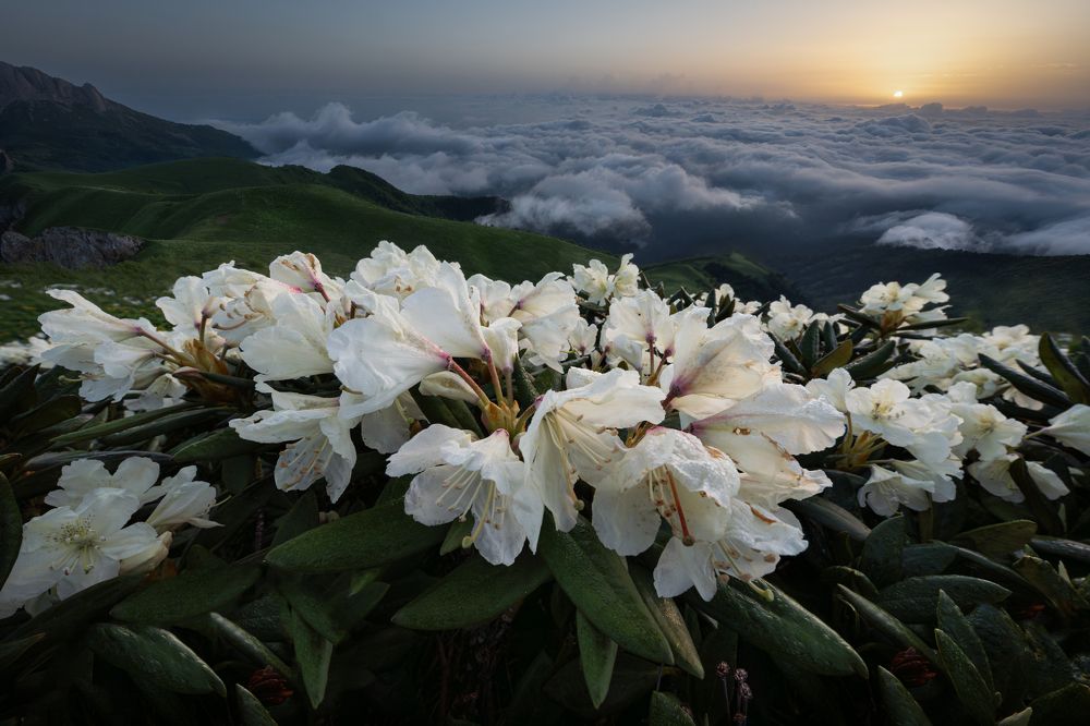 Photograph by Елена Вторушина