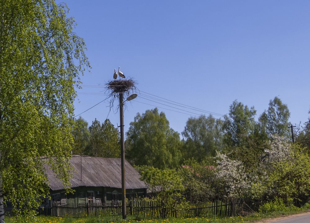 Photograph by Цветков Сергей