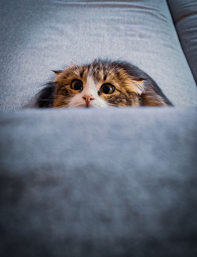 Photograph by Кривцов Андрей