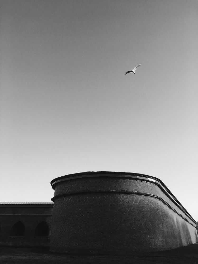 Photograph by Валентина Сидамонидзе