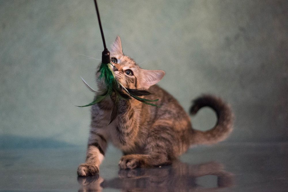 Photograph by Екатерина