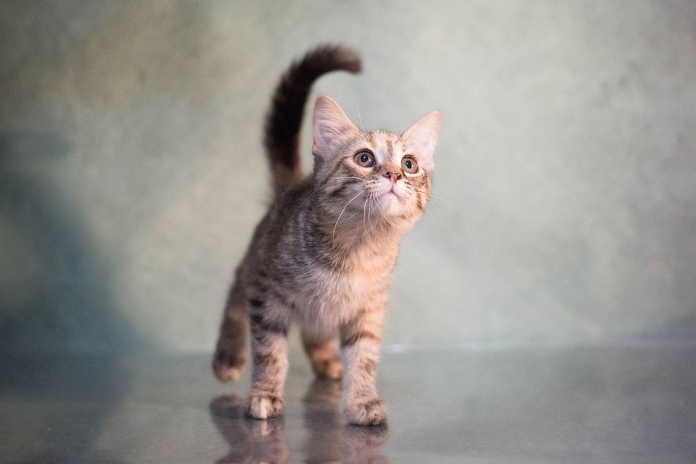 Photograph by Екатерина