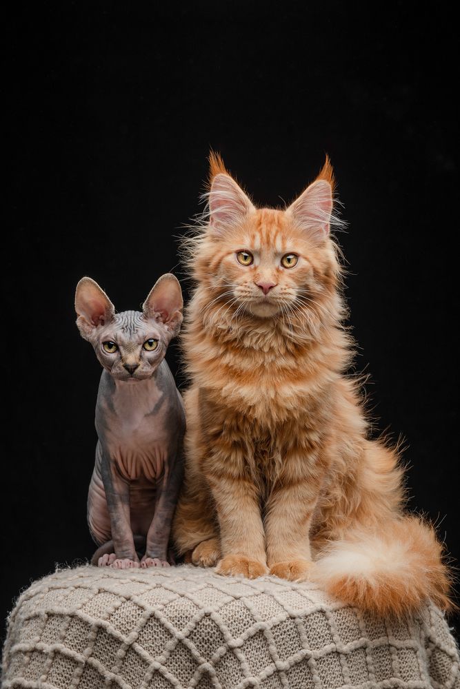 Photograph by Nadya Kulagina