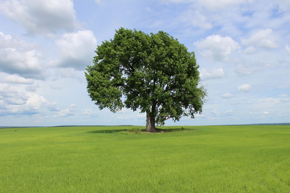 Photograph by Ирина Кубанкова