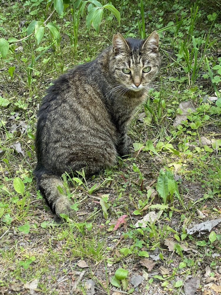 Photograph by Ирина Соловейченко