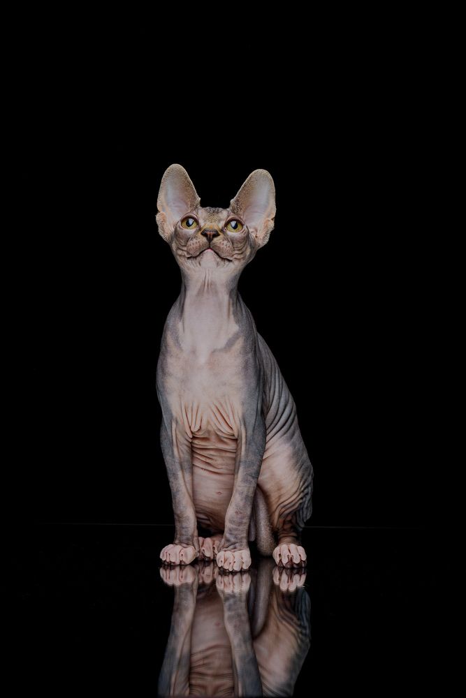 Photograph by Nadya Kulagina