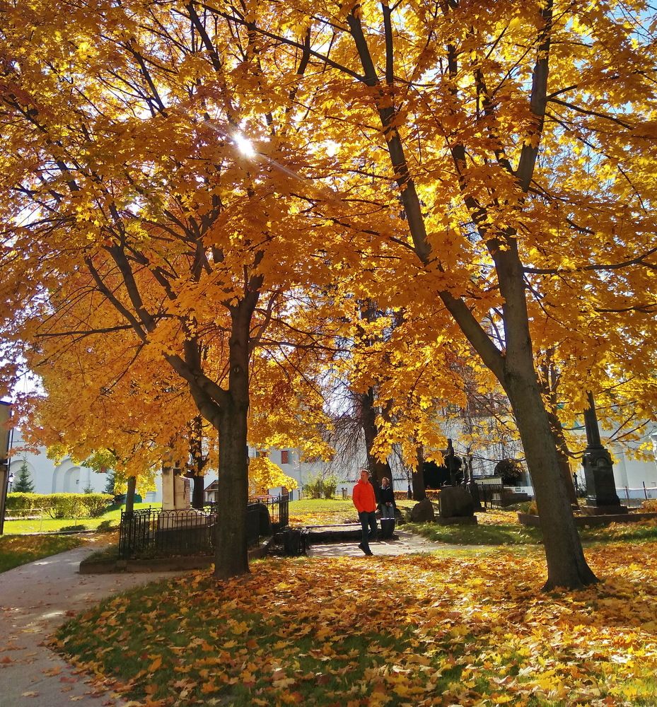 Photograph by Анастасия Смирнова