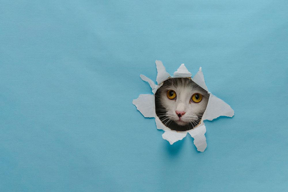 Photograph by Nadya Kulagina