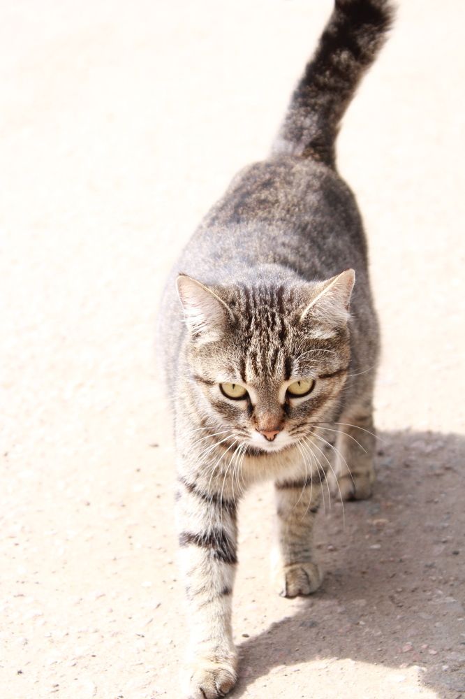 Photograph by Анастасия Липаткина