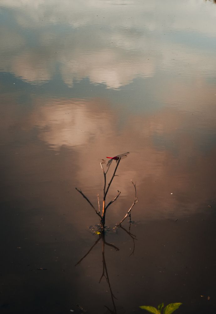 Фотография автора Munoz Cuadra Mario Antonio