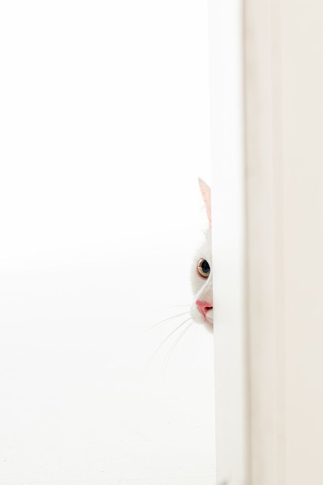 Photograph by Nadya Kulagina