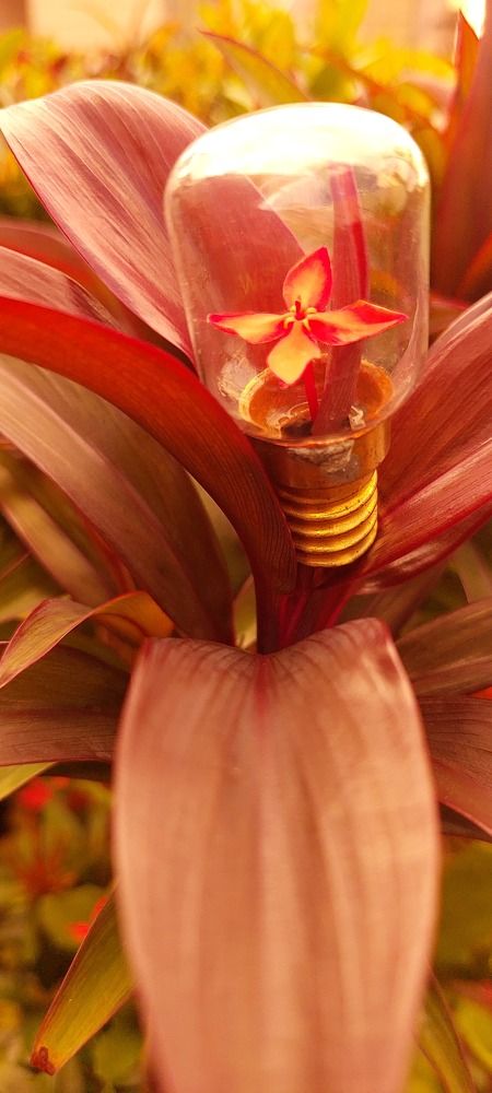 Photograph by CRINALDO REIS