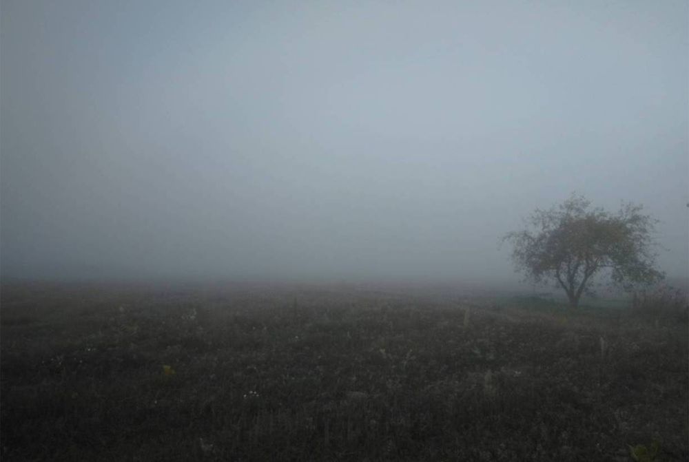 Photograph by Zhenya