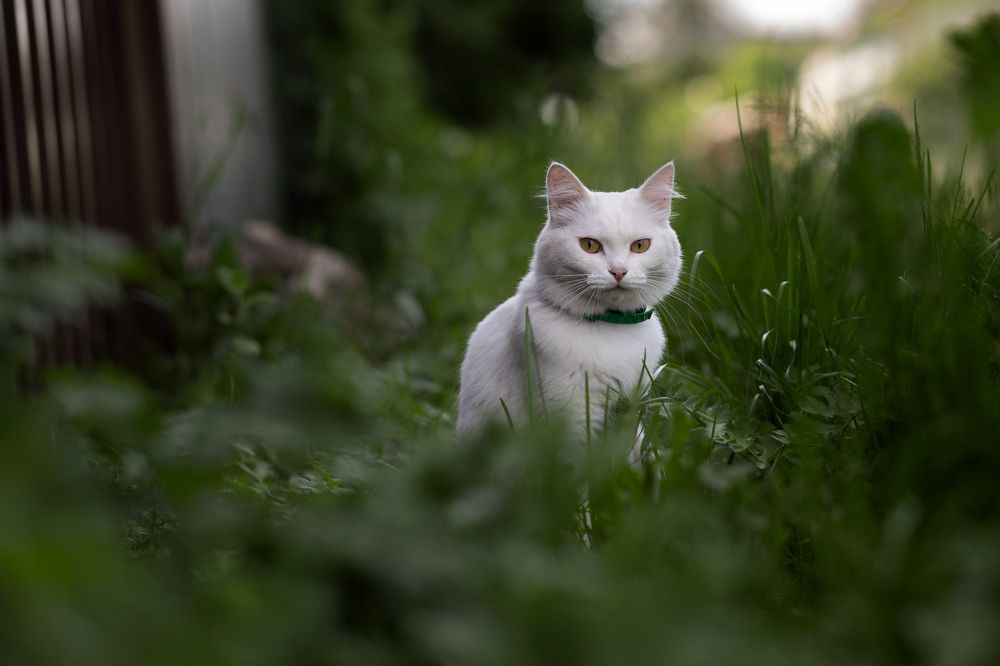 Photograph by Юлия Козельских