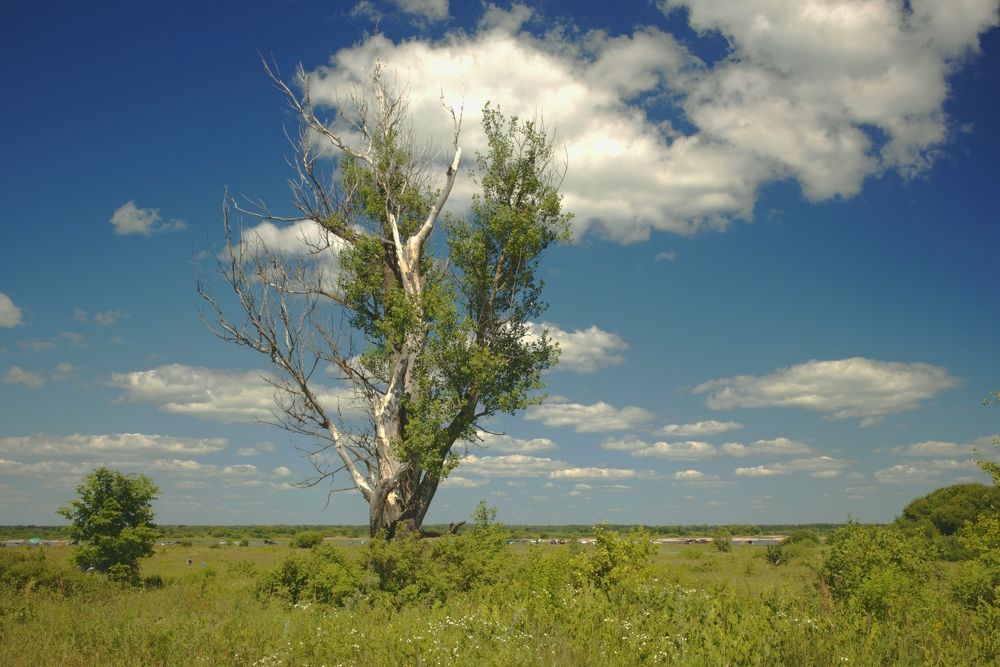 Photograph by Николай Круглов