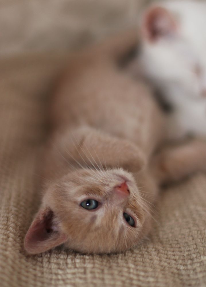 Photograph by Zhenya