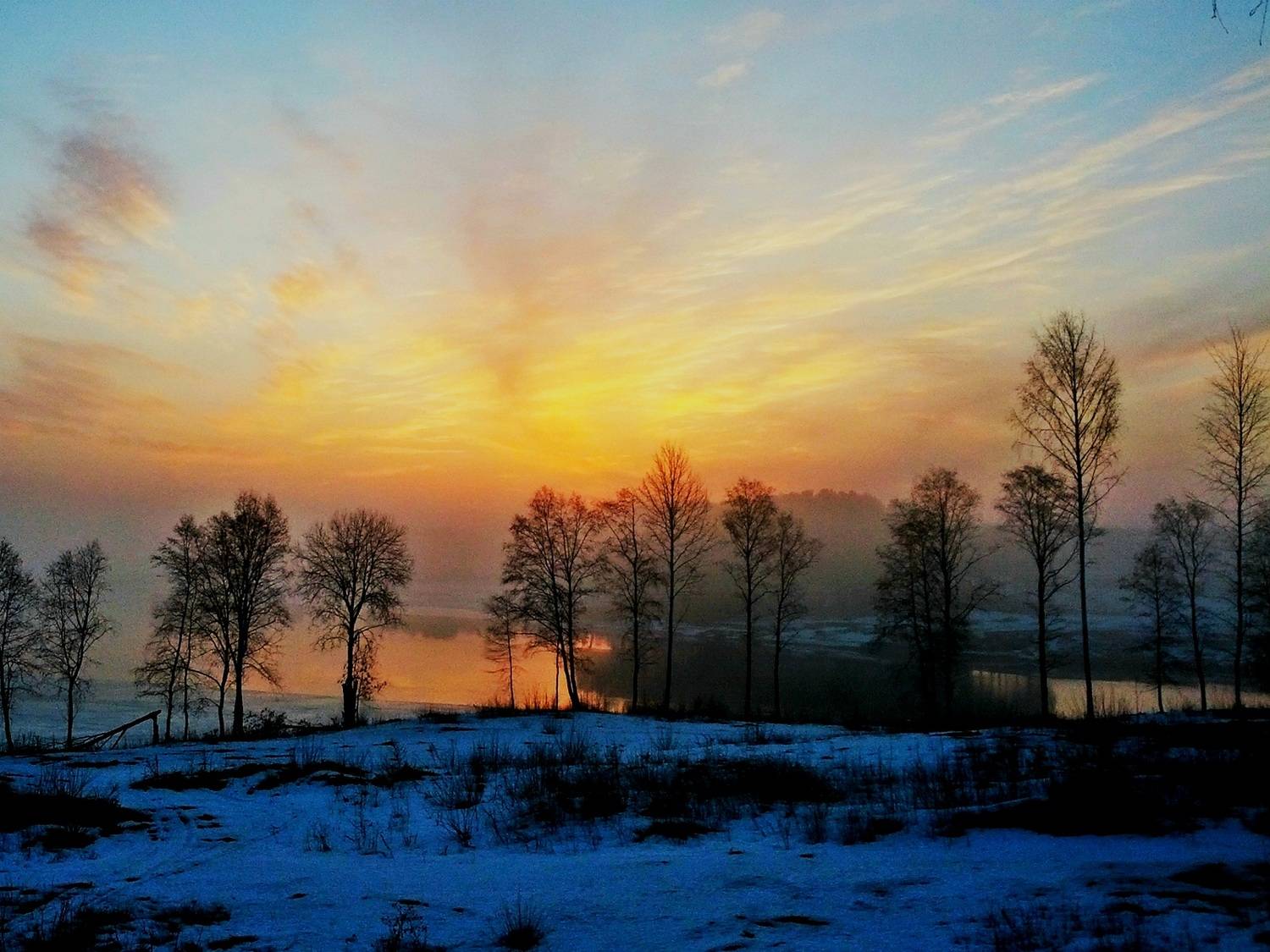 Photo #10777353