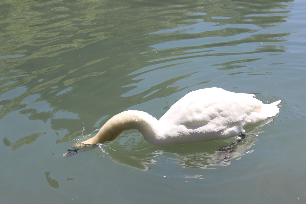 Photograph by Татьяна Пальчикова