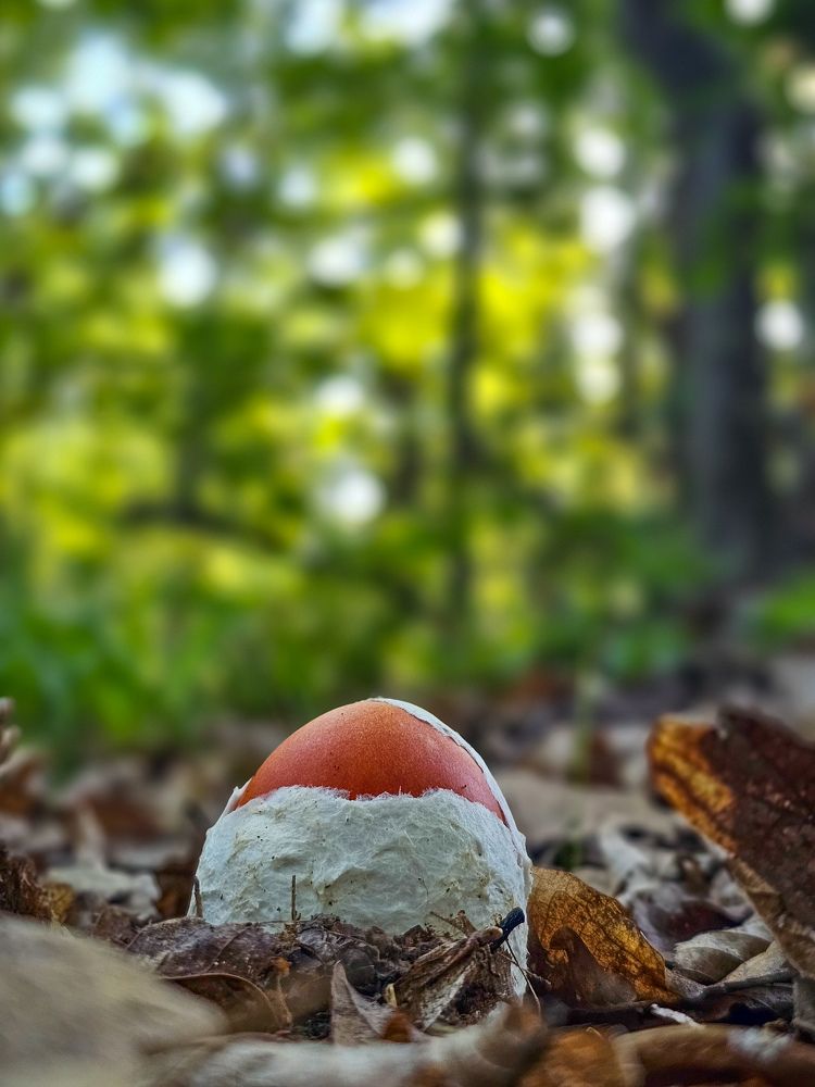 Photograph by George Alexandru Ghiuro