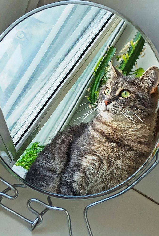 Photograph by Ольга Ситникова