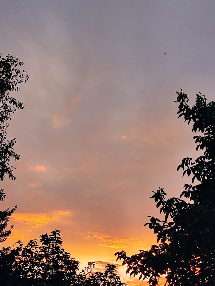 Photograph by Фаина Мирошниченко