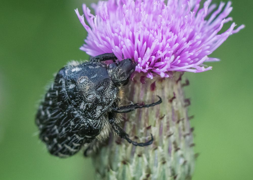 Photograph by Сергей Алексеев