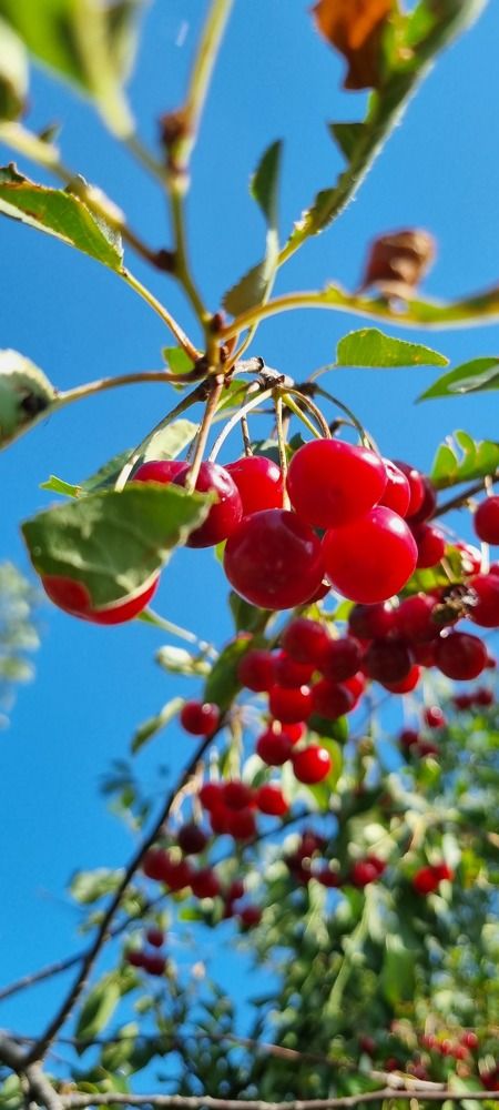 Photograph by Кетино Гвасалия