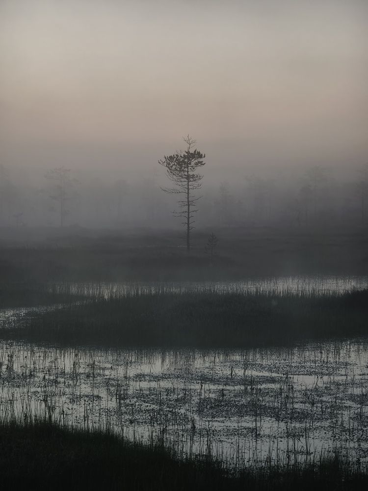 Photograph by Михаил Азаров