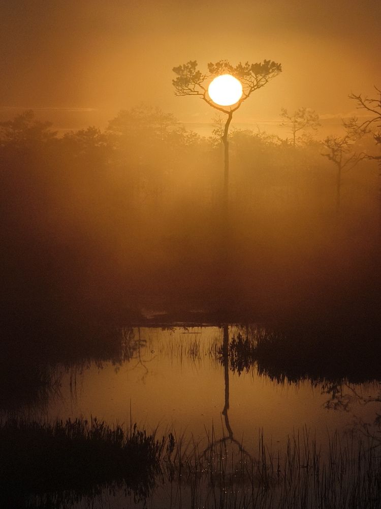 Photograph by Михаил Азаров