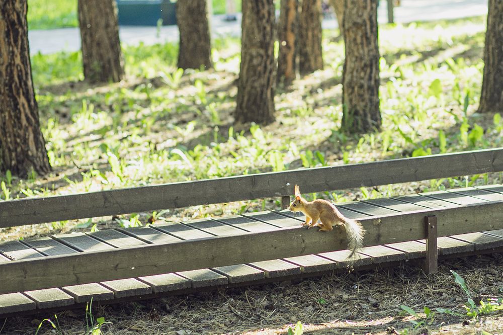 Photograph by Борис Абдуллин