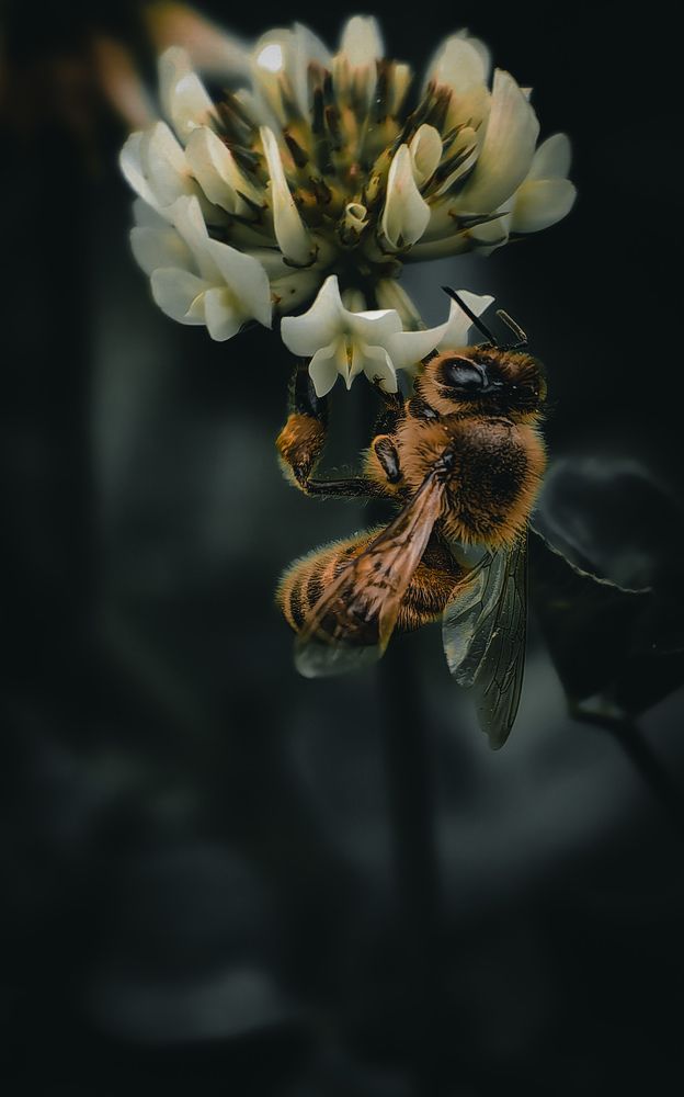 Photograph by Sergey