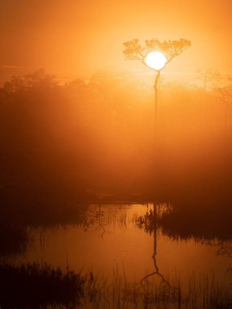 Photograph by Михаил Азаров