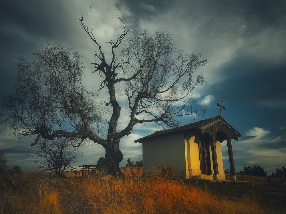 Фотография автора Юлияна Стоянова