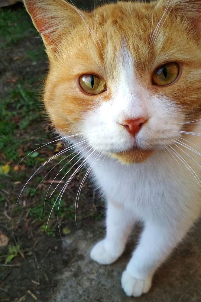 Photograph by Дарья Зотова