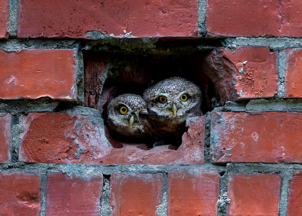 Photograph by Prince Paul Joy