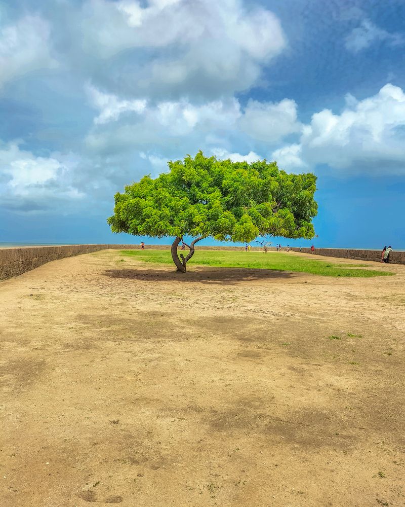 Фотография автора Sakthi chithamparam