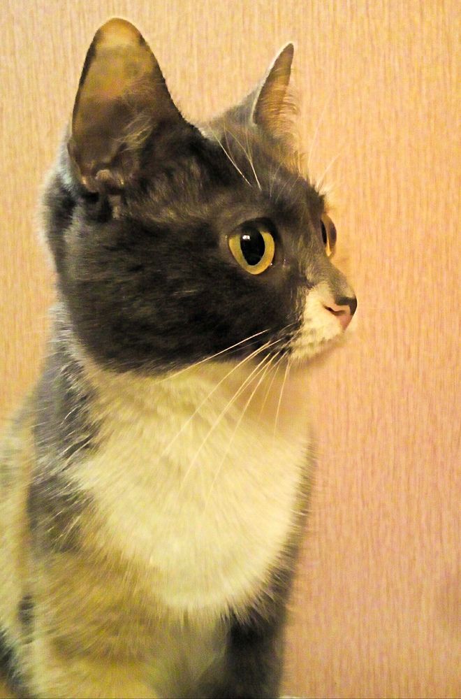 Фотография автора Светлана Дунаева