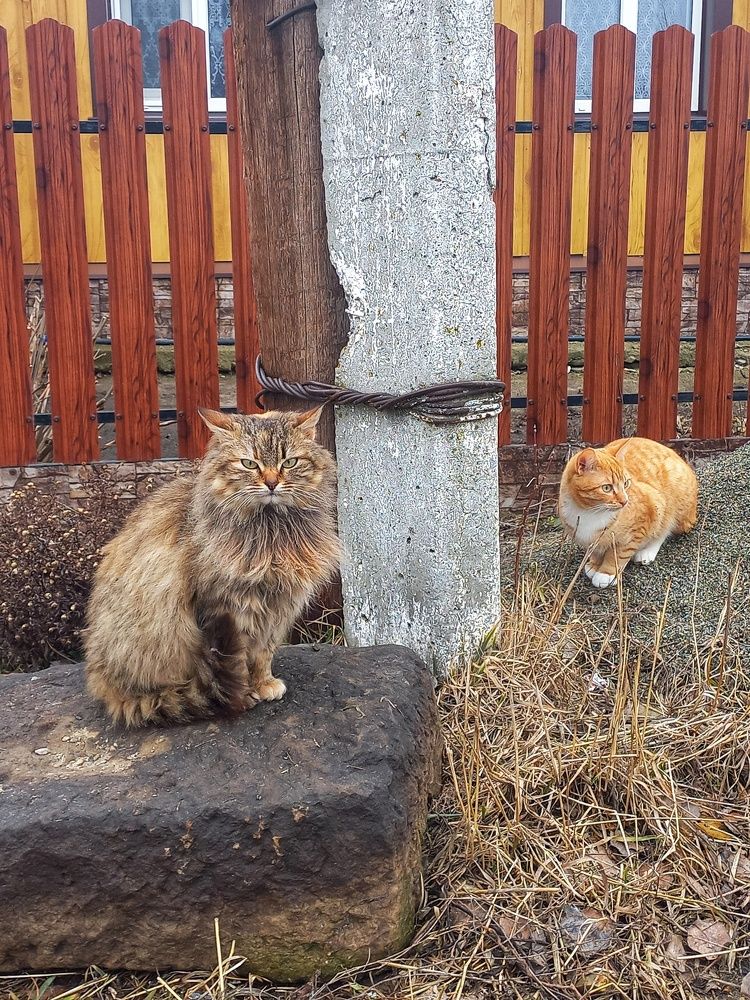 Photograph by Елена Никитина