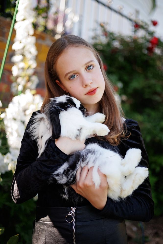 Приключения Алисы