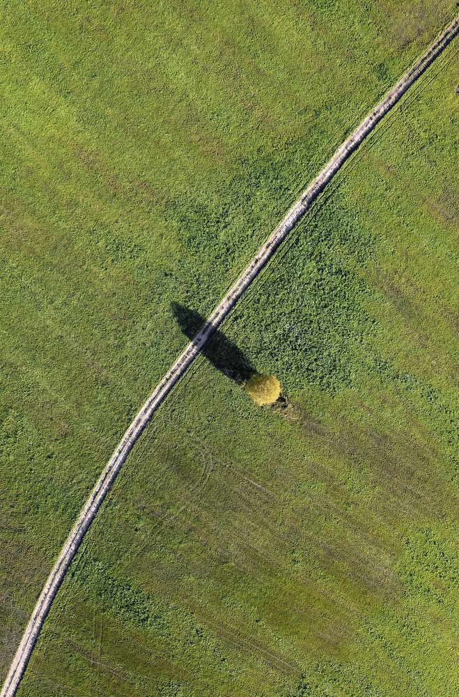 Photograph by Igor Yurkin