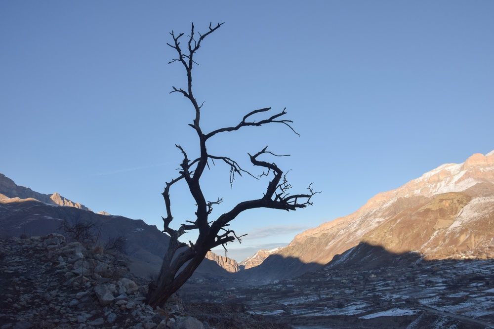 Photograph by smirnova sofya