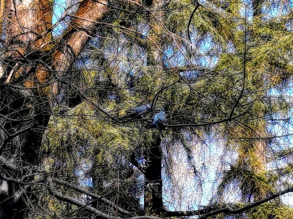 Photograph by Anila Ismailaj