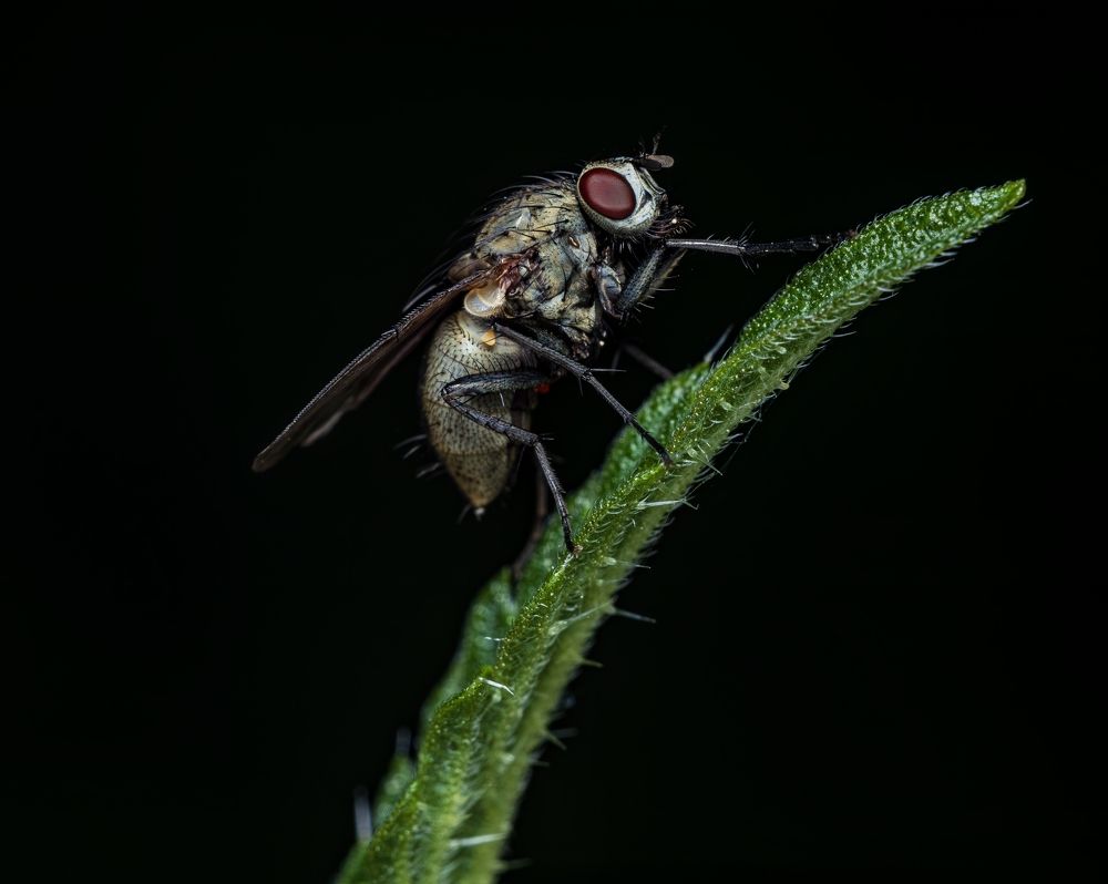 Photograph by Andrei Sabanov