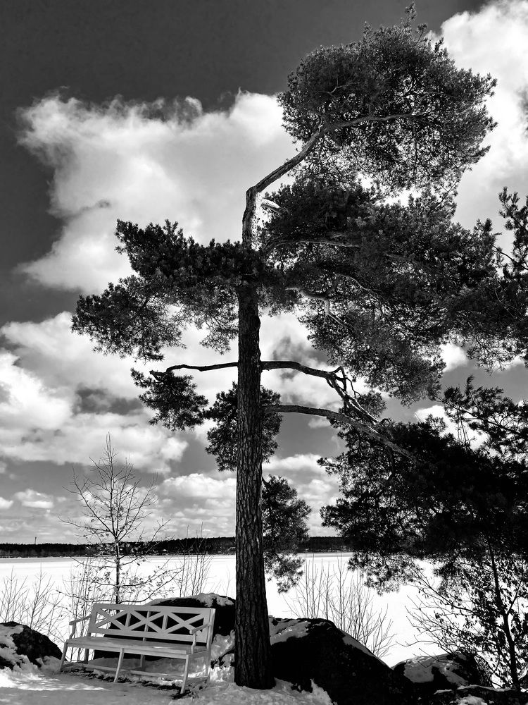 Фотография автора Анна Могилева